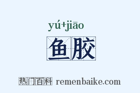 鱼胶是什么意思的图片
